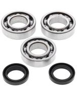 Crank Bearing Kit To Fit Polaris 300 2x4 4x4 Trail boss Xplorer 1994-1999 Models