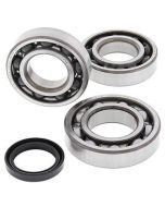 Crank Bearing Kit To Fit Polaris Magnum Trail Boss ATP 325 330 00-13 Models