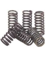 CSK154 EBC High Performance Clutch Spring Kit