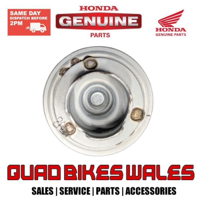 Genuine Honda OIL FILTER ELEMEN 15412-HB6-003