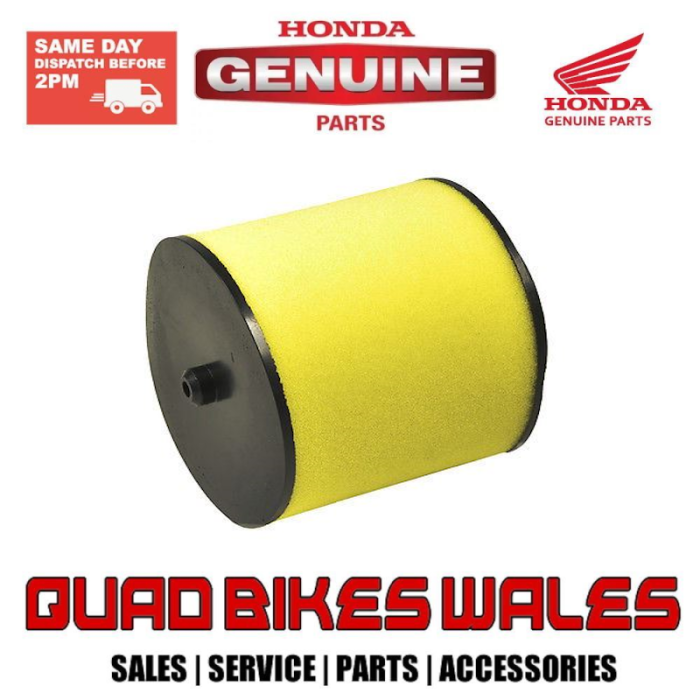 Genuine Honda Genuine Honda TRX500 Foreman Air Filter 17254-HP0-A00 17254-HP0-A00