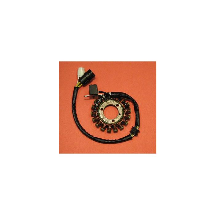 Yamaha YFM250 Bear Tracker 01-04 Stator Assembly
