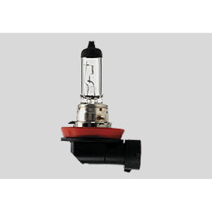 Halogen Headlight Bulb H9 12V 65W PGJ19-5 Motorcycle Quad UTV