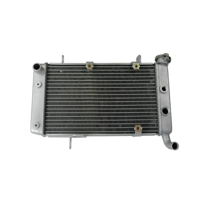 Suzuki LTZ400 04-06 KFX400 DVX400 04-08 KSX Radiator