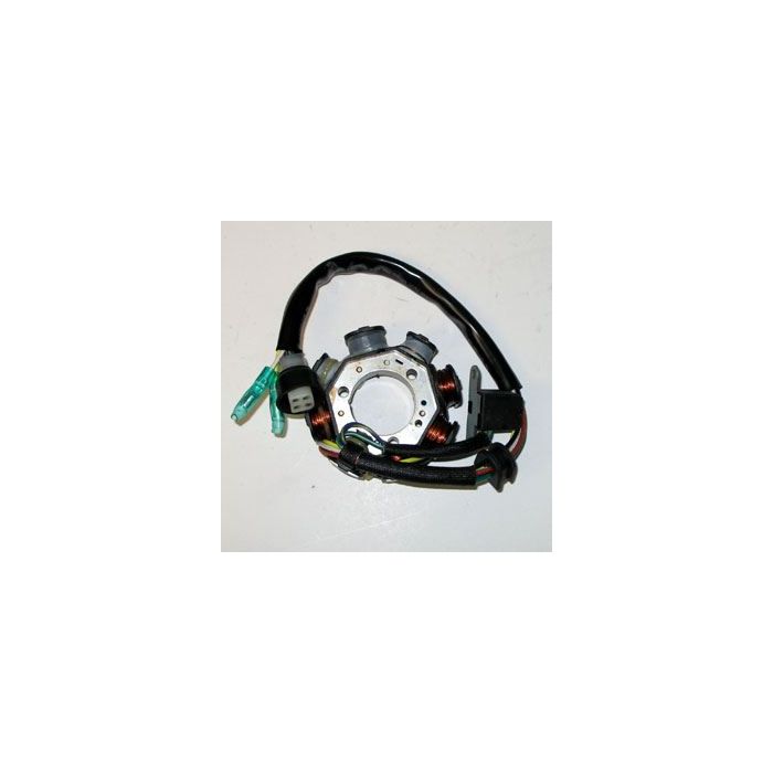 Yamaha YFB250F Timberwolf 92-93 Stator Assembly