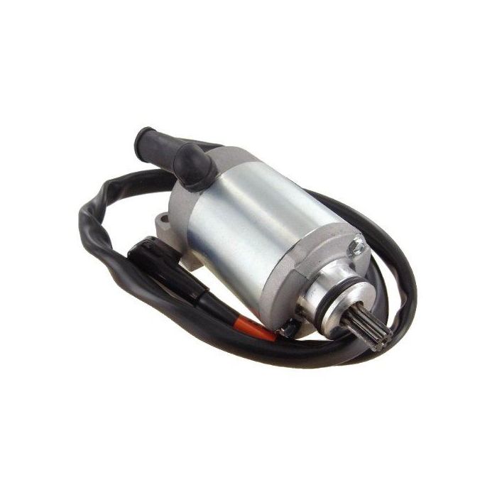 Bombardier Can-Am Rally 200 05-07 Starter Motor A31200-179-000