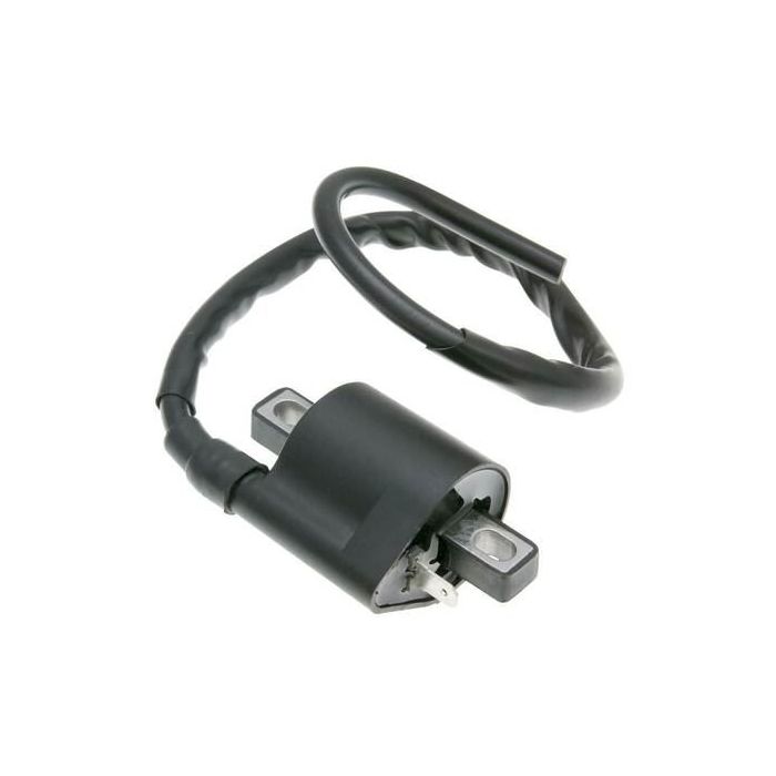 Chinese Quad Parts Ignition Coil 16778