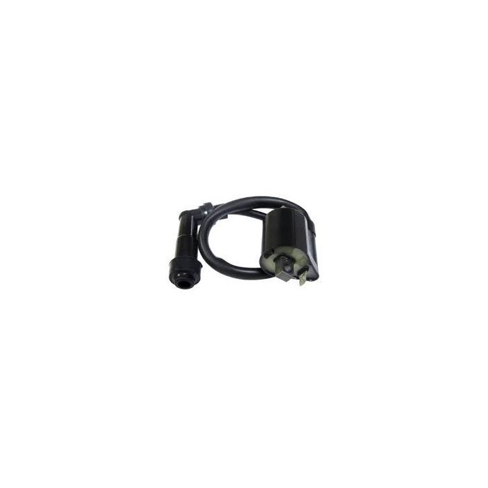 Yamaha Bruin 350 2WD 4WD 04-06 Ignition Coil