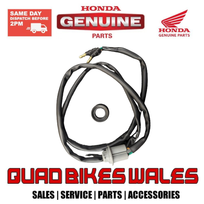Genuine Honda SOCKET COMP. 33720-HM8-A30