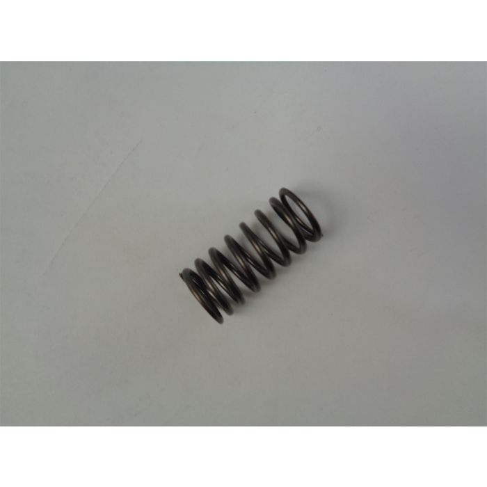 NEW FORCE NF150 INNER VALVE SPRING NFUCA-14761-00