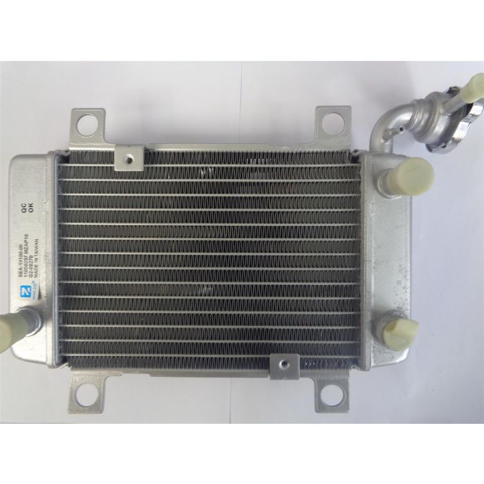 NEW FORCE ZX250  RADIATOR NFSEA-19100-00