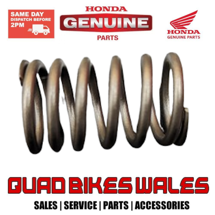 Genuine Honda SPRING, VALVE OUTER (NIPP 14751-GN5-911