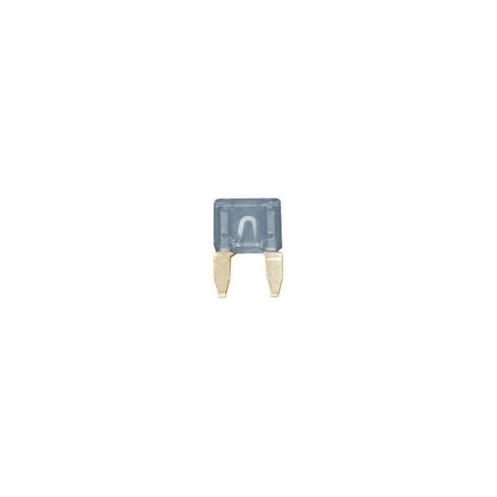 Mini Blade Fuse 2 Amp Pack Of 10