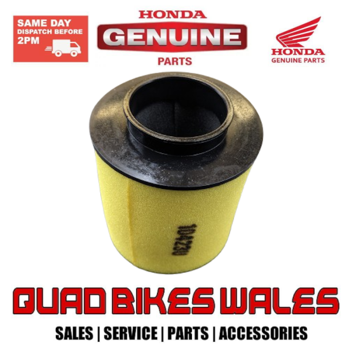 Genuine Honda ELEMENT AIR CLEANER 17254-HM8-000