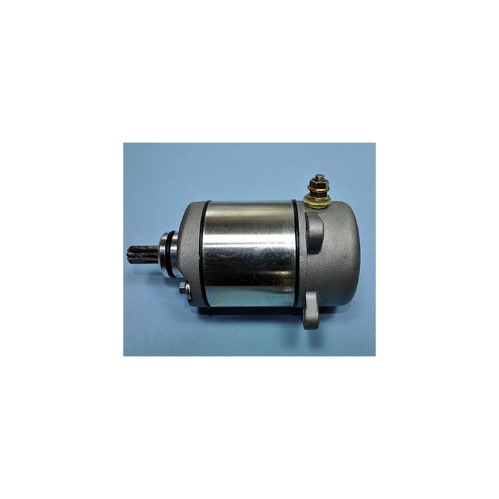 Honda TRX250 Fourtrax 97-13 TRX250EX 01-13 Starter Motor 21100649