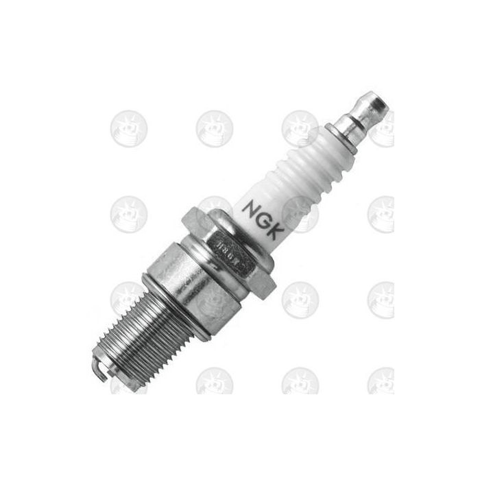 B8EG NGK Spark Plug