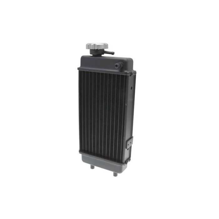 Chinese Quad Parts Radiator Black 34957