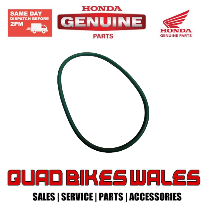 Genuine Honda PACKING,FUEL PUMP 17574-HR3-A21
