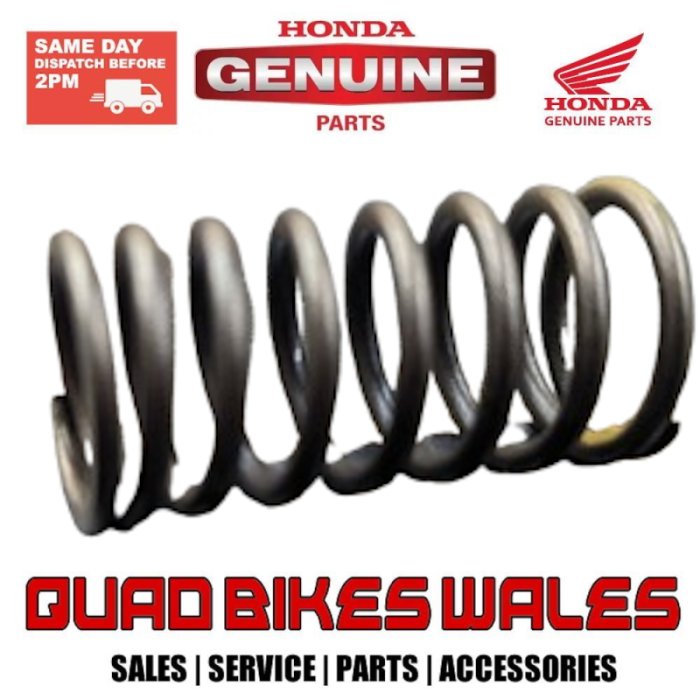 Genuine Honda SPRING, VALVE INNER (NIPP 14761-GN5-911