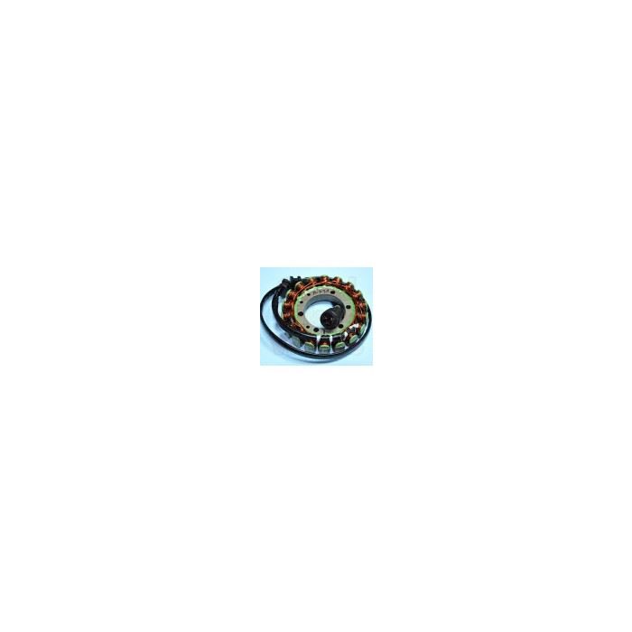 Yamaha YFS200 Blaster 88-06 Stator Assembly
