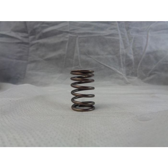 NEW FORCE NF150 VALVE OUTER SPRING NFUCA-14751-00