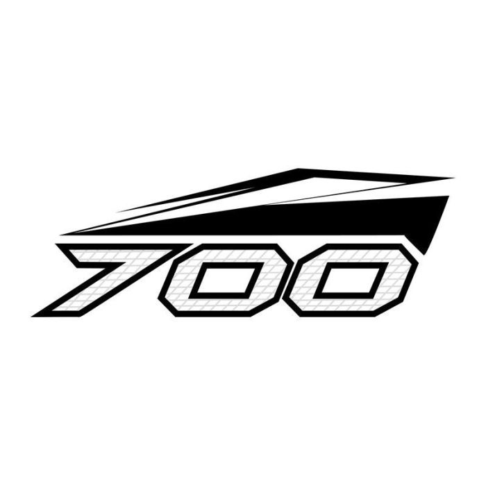 Arctic Cat R/H 700 Sticker