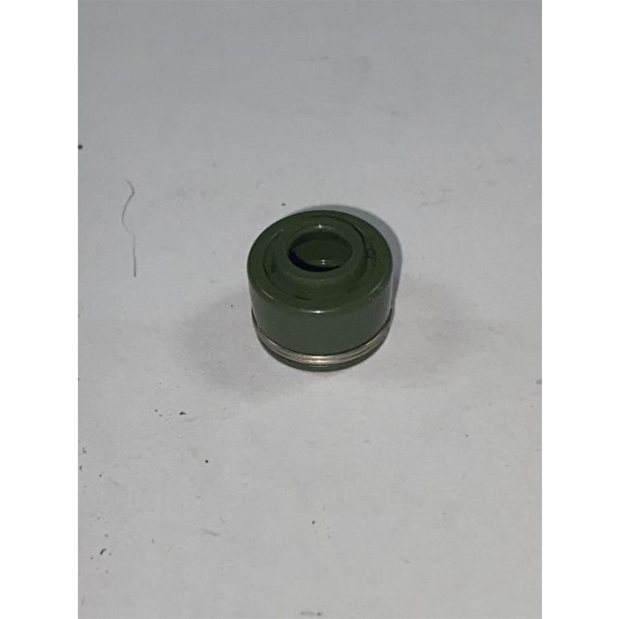SWM VALVE SEAL D5.5 - 8000A4137