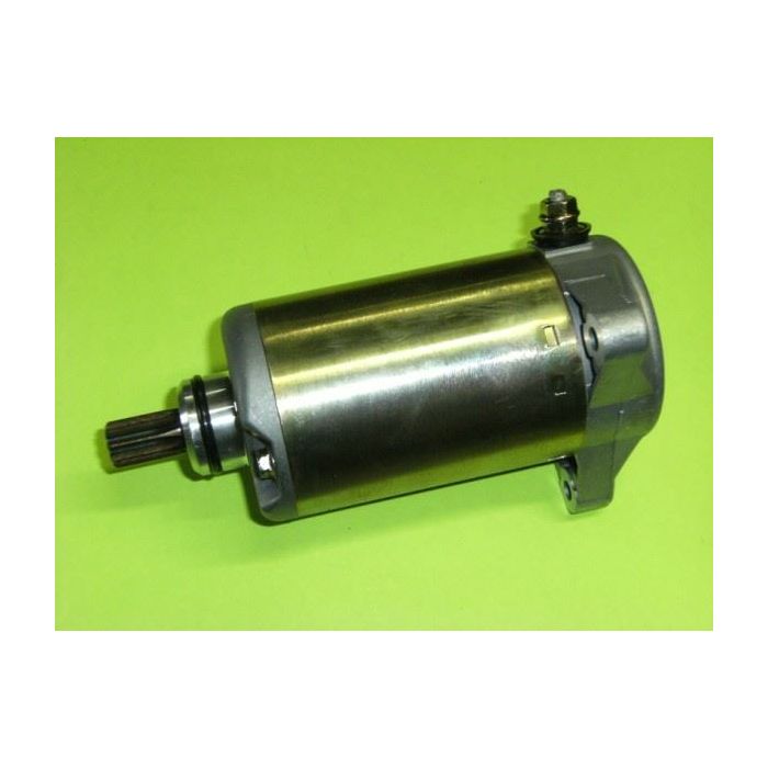 Suzuki LT250EF LT300E Starter Motor