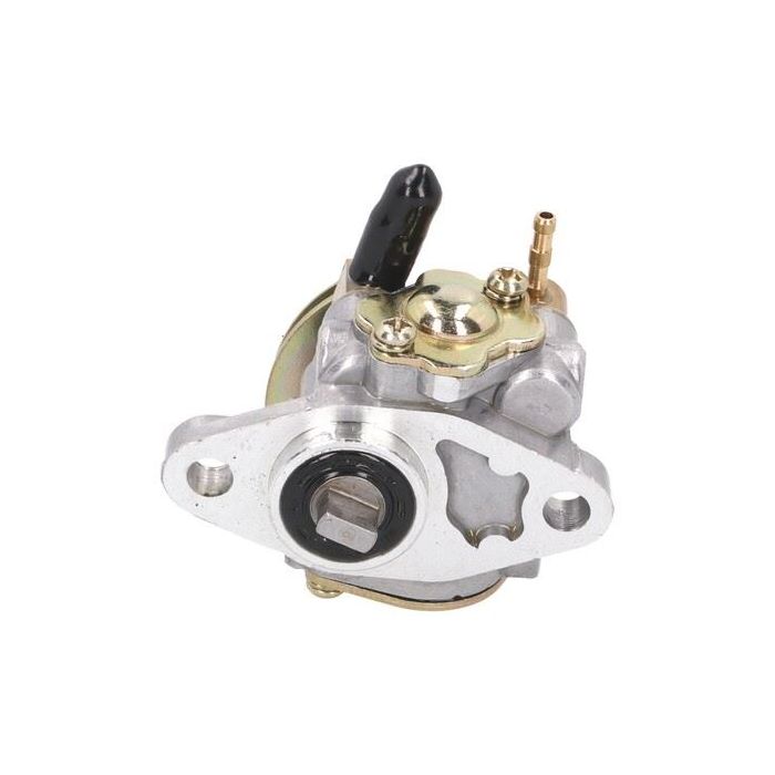 Chinese Quad Parts Oil Pump Pump Assembly 28779