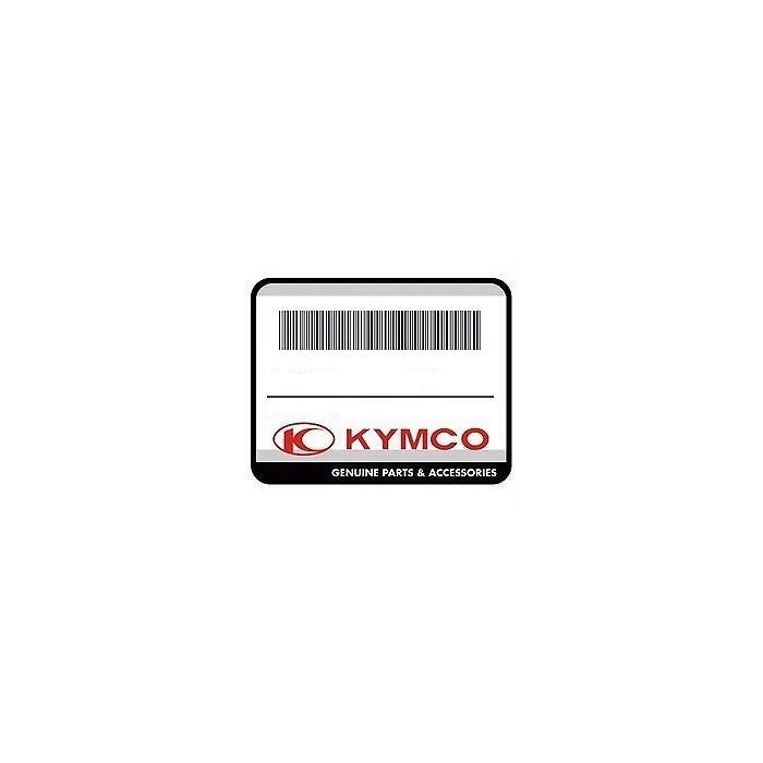 KYMCO Genuine Part GASKET CYLINDER HEAD 12251LLF3C00