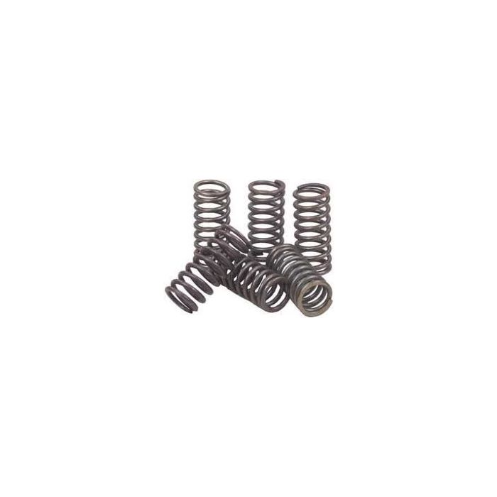 CSK010 EBC High Performance Clutch Spring Kit