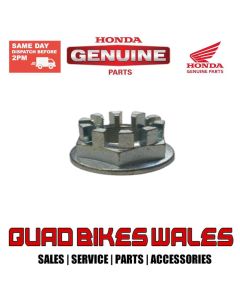 Genuine Honda AXLE NUT 20MM 90304-HM7-A10