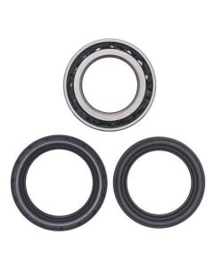 Honda TRX650 680 Rincon 03-14 Rear Wheel Bearing Kit