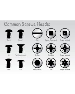 Torx Drive Socket For Clic Plate covers