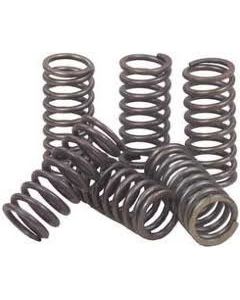 CSK018 EBC High Performance Clutch Spring Kit