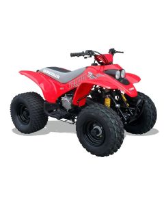 Quadzilla R100 Kids Quad Bike