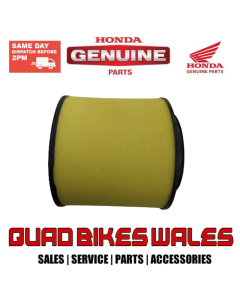17254HN1000 ELEMENT, AIR CLEANER 420 500 Honda Genuine Part