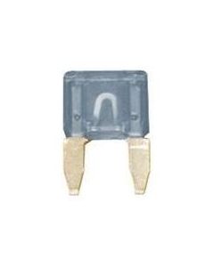 Mini Blade Fuse 2 Amp Pack Of 10