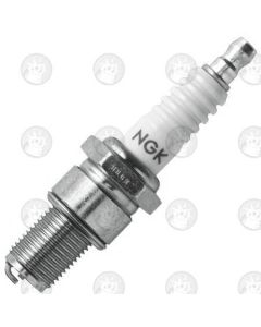B8EG NGK Spark Plug