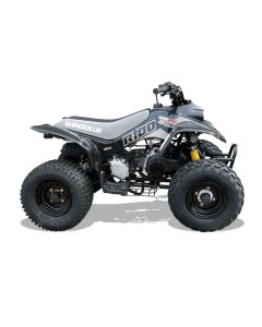 Quadzilla R100 Kids Quad Bike
