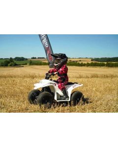 Quadzilla Buzz 50 Kids 2-Stroke 50CC Engine Quad Bike