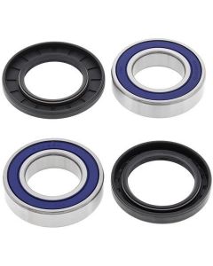 Yamaha YFM50 80 100 Rear Wheel Bearing Kit