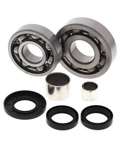 Polaris 500 325 Magnum Xpediition Front Differential Bearing and Seal Kit