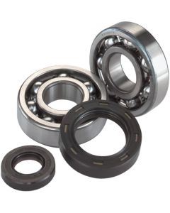 Suzuki LT-250R 85-92 Crank Bearing And Seal Kit