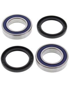 Rear Axle Carrier Bearing & Seal Kit To Fit Quadzilla SMC XLC500 Sport Canyon Ram 520 RR 503