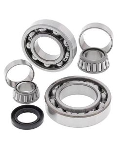 Kawasaki KLF 300B Bayou Rear Diff Bearing Kit