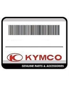 KYMCO Genuine Part FORK ASSY FRONT R 51400AGA1M00N1S