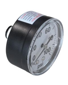 Fimco Parts 2 in Dry Back Mount Gauge ABS Stem 100psi 5167097