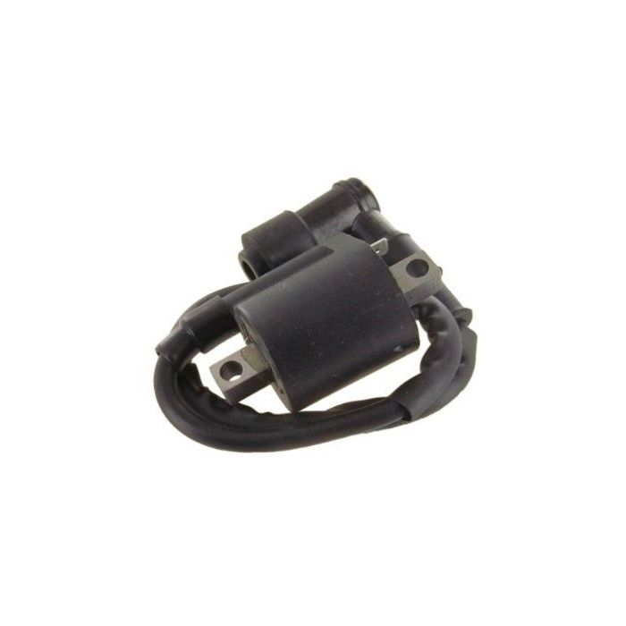 Ignition Coil  ATC110 81-84