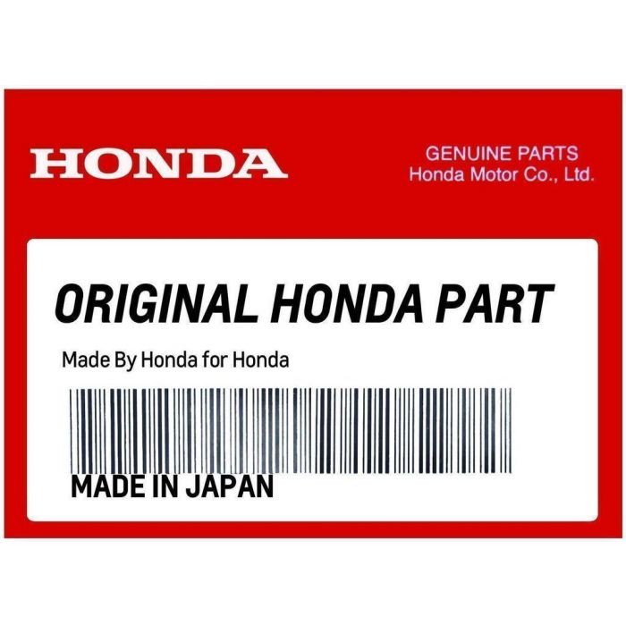 Genuine Honda Pioneer 520 Fabric Rear Panel